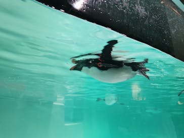 AOAO SAPPOROに投稿された画像（2023/12/10）