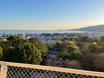 小田原城に投稿された画像（2023/12/10）