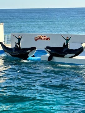 鴨川シーワールドに投稿された画像（2023/12/10）