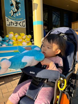 鴨川シーワールドに投稿された画像（2023/12/10）