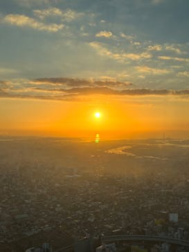 ハルカス300(展望台)に投稿された画像（2023/12/10）