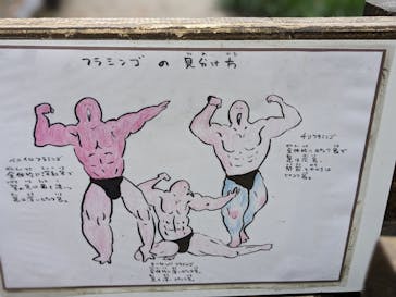 長崎バイオパークに投稿された画像（2023/12/10）