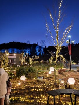 いばらきフラワーパークに投稿された画像（2023/12/10）