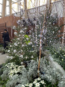 安城産業文化公園デンパークに投稿された画像（2023/12/10）