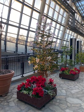 安城産業文化公園デンパークに投稿された画像（2023/12/10）