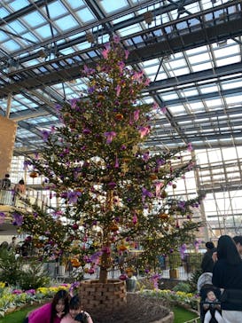 安城産業文化公園デンパークに投稿された画像（2023/12/10）