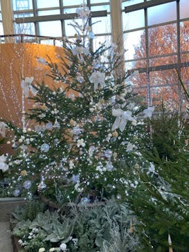 安城産業文化公園デンパークに投稿された画像（2023/12/10）