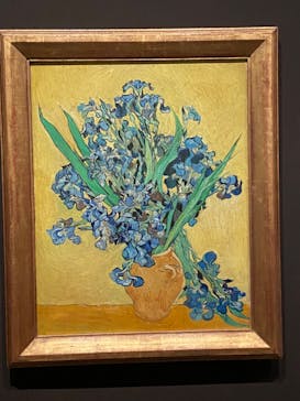 ゴッホと静物画　伝統から革新へ（SＯＭＰＯ美術館）に投稿された画像（2023/12/10）