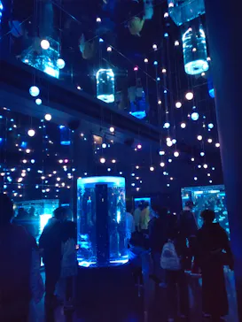 マクセル アクアパーク品川に投稿された画像（2023/12/10）