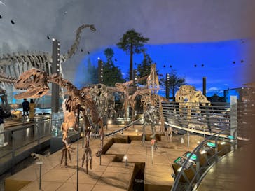 福井県立恐竜博物館に投稿された画像（2023/12/10）