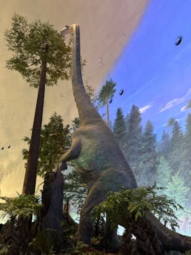 福井県立恐竜博物館に投稿された画像（2023/12/10）