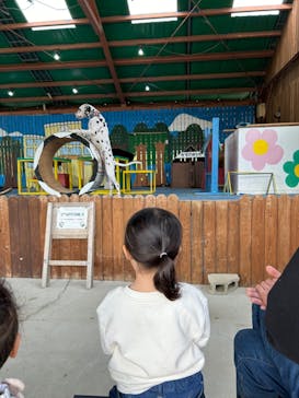 しろとり動物園に投稿された画像（2023/12/10）
