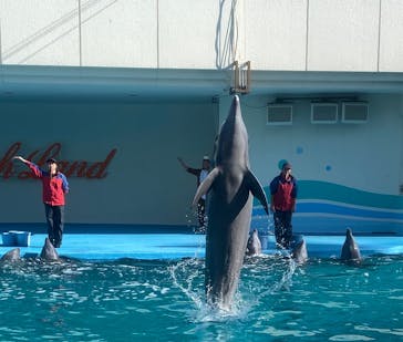 南知多ビーチランド＆南知多おもちゃ王国に投稿された画像（2023/12/10）