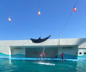 南知多ビーチランド＆南知多おもちゃ王国に投稿された画像（2023/12/10）