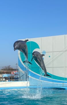 南知多ビーチランド＆南知多おもちゃ王国に投稿された画像（2023/12/10）