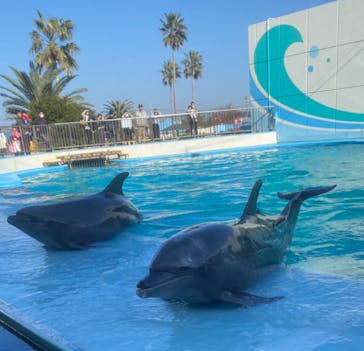 南知多ビーチランド＆南知多おもちゃ王国に投稿された画像（2023/12/10）