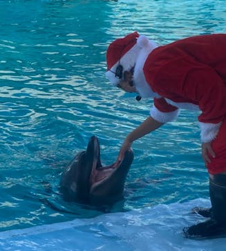 南知多ビーチランド＆南知多おもちゃ王国に投稿された画像（2023/12/10）