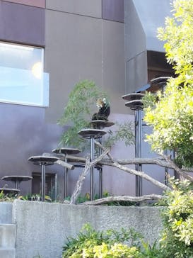 名古屋市東山動植物園に投稿された画像（2023/12/10）