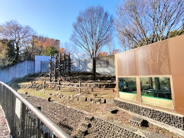 名古屋市東山動植物園に投稿された画像（2023/12/10）