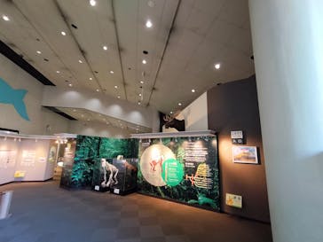 名古屋市東山動植物園に投稿された画像（2023/12/10）