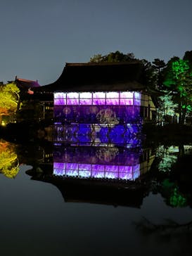 NAKEDヨルマイリ 2025-26 平安神宮に投稿された画像（2023/12/10）