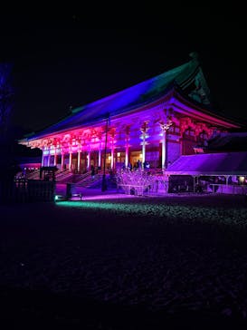 NAKEDヨルマイリ 2025-26 平安神宮に投稿された画像（2023/12/10）