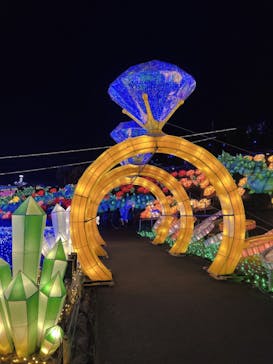 伊豆ぐらんぱる公園に投稿された画像（2023/12/10）