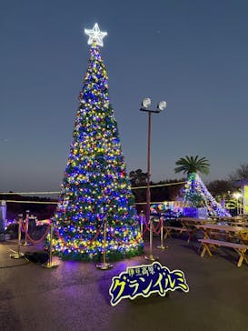伊豆ぐらんぱる公園に投稿された画像（2023/12/10）