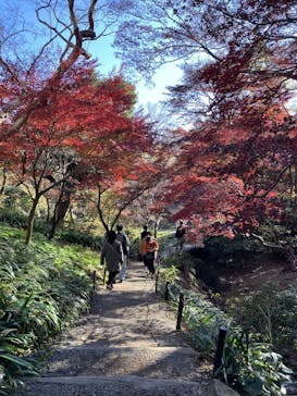 三溪園に投稿された画像（2023/12/10）