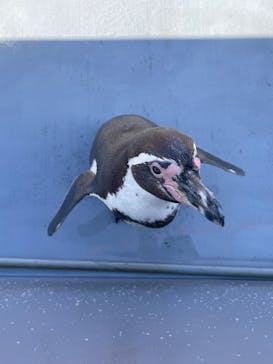 南知多ビーチランド＆南知多おもちゃ王国に投稿された画像（2023/12/10）