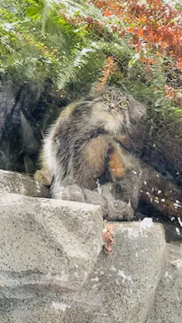 神戸どうぶつ王国に投稿された画像（2023/12/10）