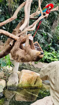 神戸どうぶつ王国に投稿された画像（2023/12/10）