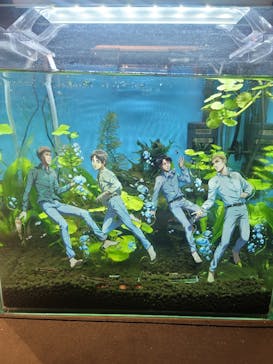 カワスイ 川崎⽔族館に投稿された画像（2023/12/10）