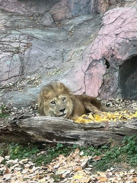 名古屋市東山動植物園に投稿された画像（2023/12/10）