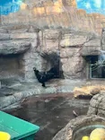 天王寺動物園に投稿された画像（2023/12/10）