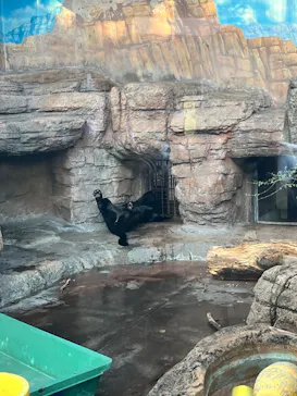 天王寺動物園に投稿された画像（2023/12/10）