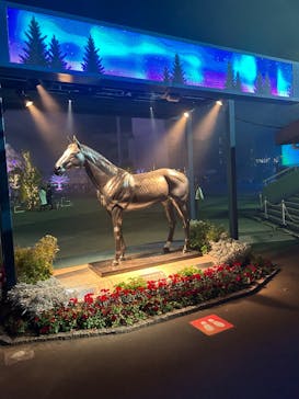 東京メガイルミに投稿された画像（2023/12/10）