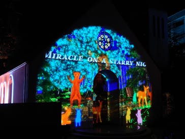 つま恋イルミネーションに投稿された画像（2023/12/10）