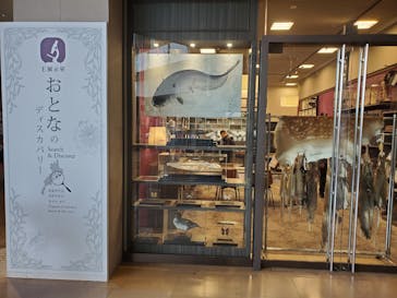 滋賀県立琵琶湖博物館に投稿された画像（2023/12/10）