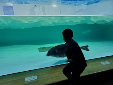 滋賀県立琵琶湖博物館に投稿された画像（2023/12/10）