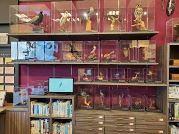 滋賀県立琵琶湖博物館に投稿された画像（2023/12/10）