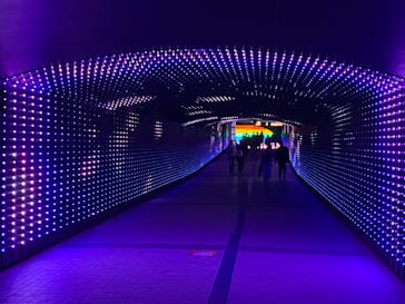 東京メガイルミに投稿された画像（2023/12/10）