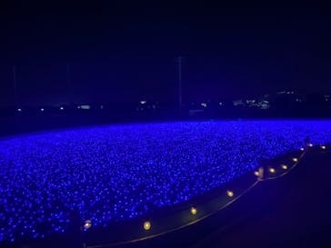 東京メガイルミに投稿された画像（2023/12/10）