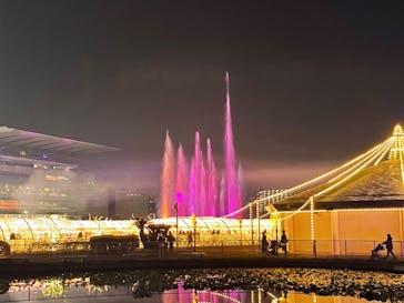 東京メガイルミに投稿された画像（2023/12/10）