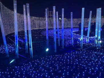 東京メガイルミに投稿された画像（2023/12/10）