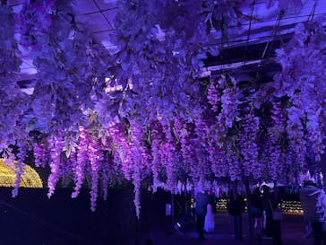 東京メガイルミに投稿された画像（2023/12/10）