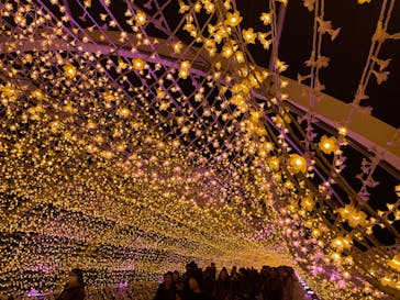 東京メガイルミに投稿された画像（2023/12/10）