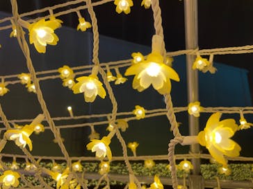 東京メガイルミに投稿された画像（2023/12/10）