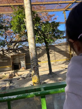 東武動物公園に投稿された画像（2023/12/10）