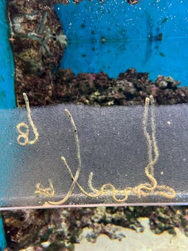 島根県立 しまね海洋館に投稿された画像（2023/12/10）